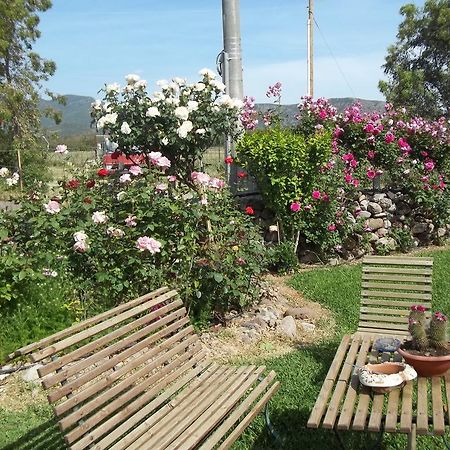 Il Vecchioliveto Di Ornella Bed & Breakfast Marrubiu Phòng bức ảnh