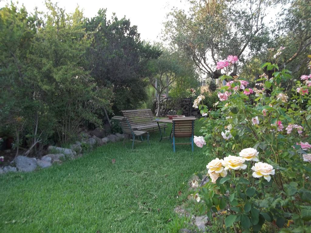 Il Vecchioliveto Di Ornella Bed & Breakfast Marrubiu Phòng bức ảnh