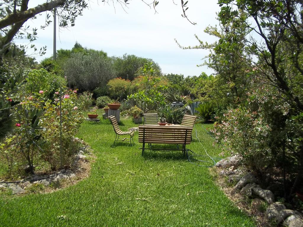 Il Vecchioliveto Di Ornella Bed & Breakfast Marrubiu Phòng bức ảnh