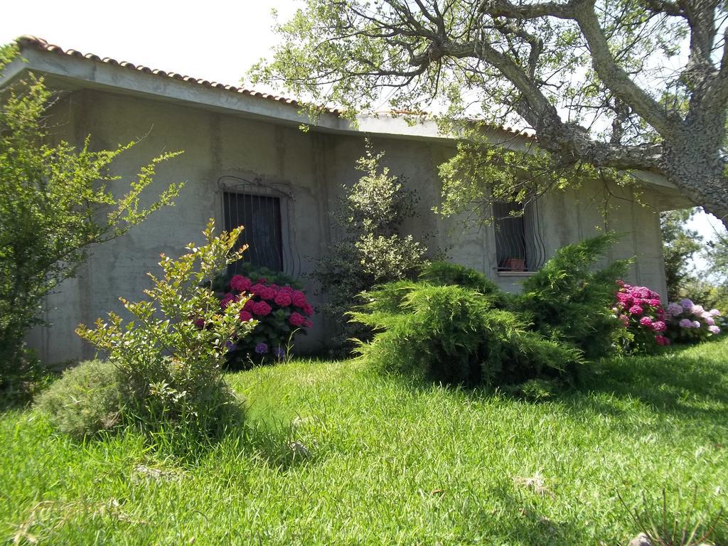 Il Vecchioliveto Di Ornella Bed & Breakfast Marrubiu Phòng bức ảnh