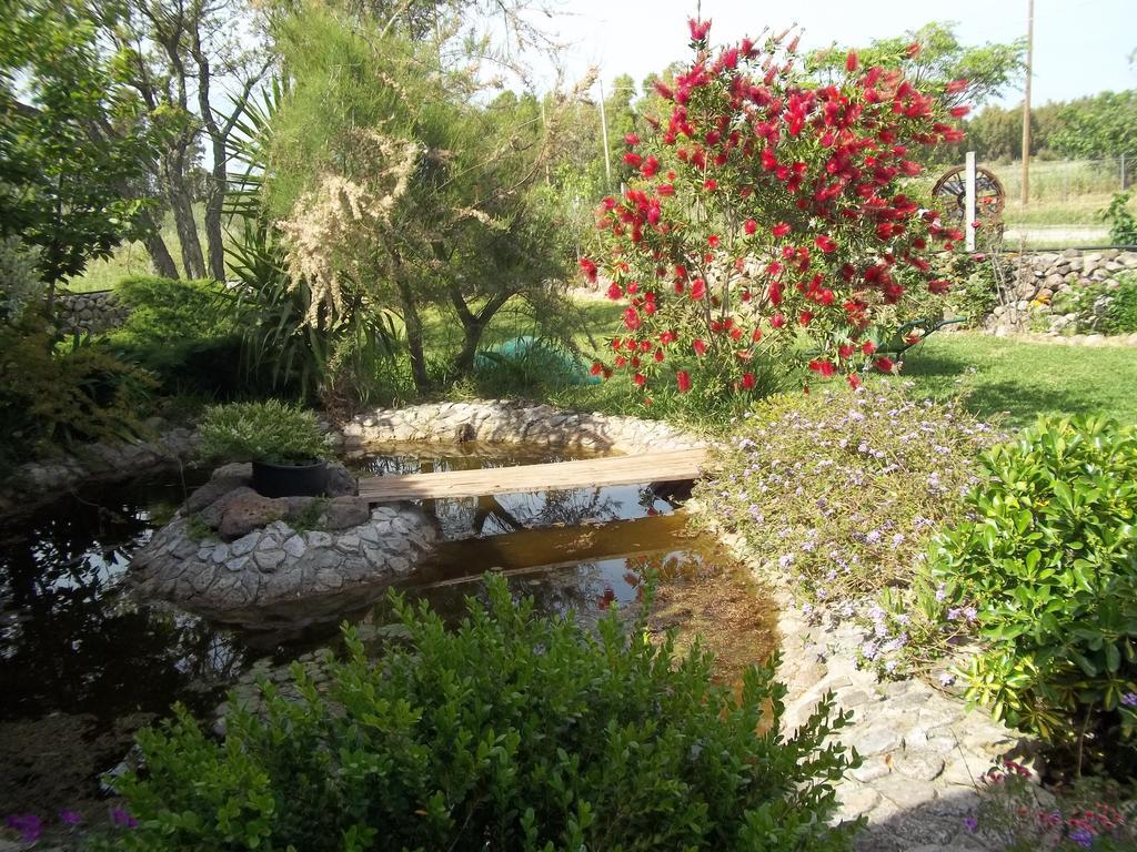 Il Vecchioliveto Di Ornella Bed & Breakfast Marrubiu Phòng bức ảnh