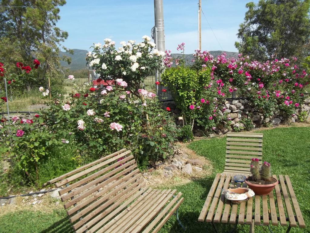 Il Vecchioliveto Di Ornella Bed & Breakfast Marrubiu Phòng bức ảnh