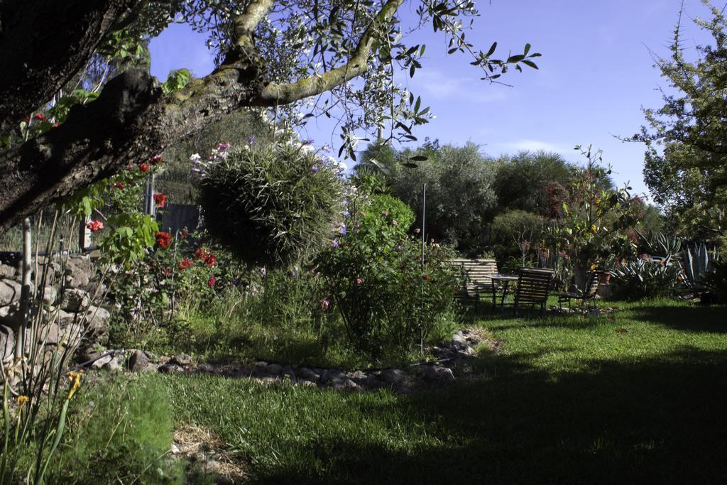 Il Vecchioliveto Di Ornella Bed & Breakfast Marrubiu Ngoại thất bức ảnh