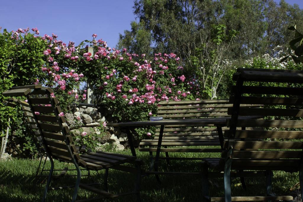 Il Vecchioliveto Di Ornella Bed & Breakfast Marrubiu Ngoại thất bức ảnh