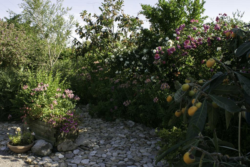 Il Vecchioliveto Di Ornella Bed & Breakfast Marrubiu Ngoại thất bức ảnh