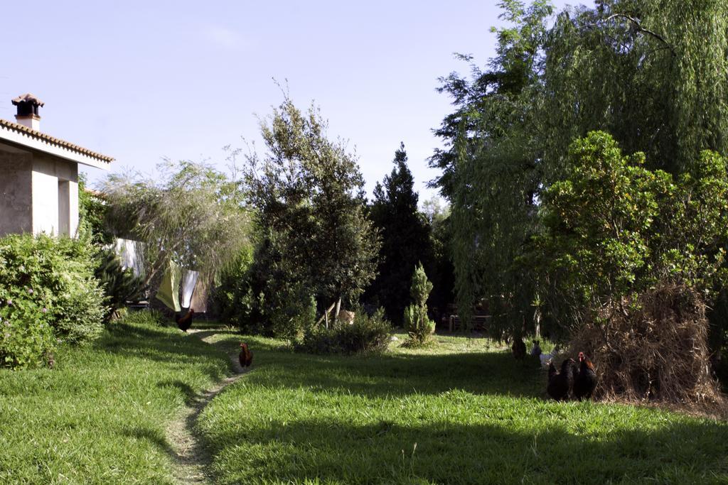 Il Vecchioliveto Di Ornella Bed & Breakfast Marrubiu Ngoại thất bức ảnh