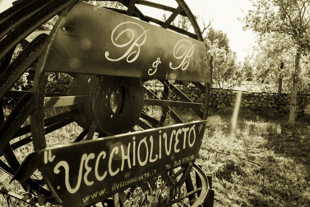 Il Vecchioliveto Di Ornella Bed & Breakfast Marrubiu Ngoại thất bức ảnh