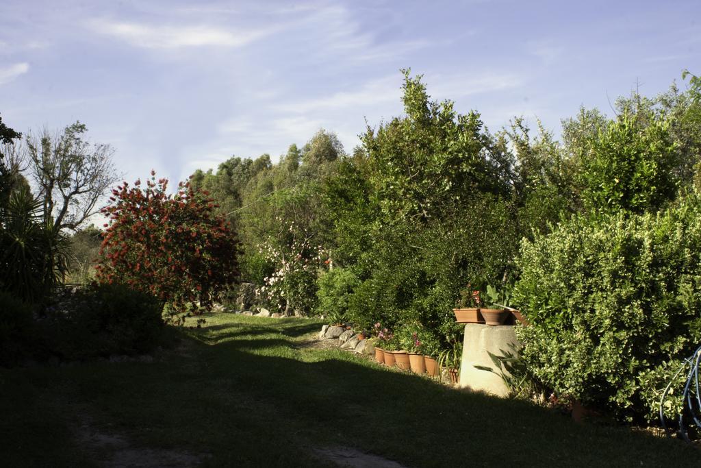Il Vecchioliveto Di Ornella Bed & Breakfast Marrubiu Ngoại thất bức ảnh