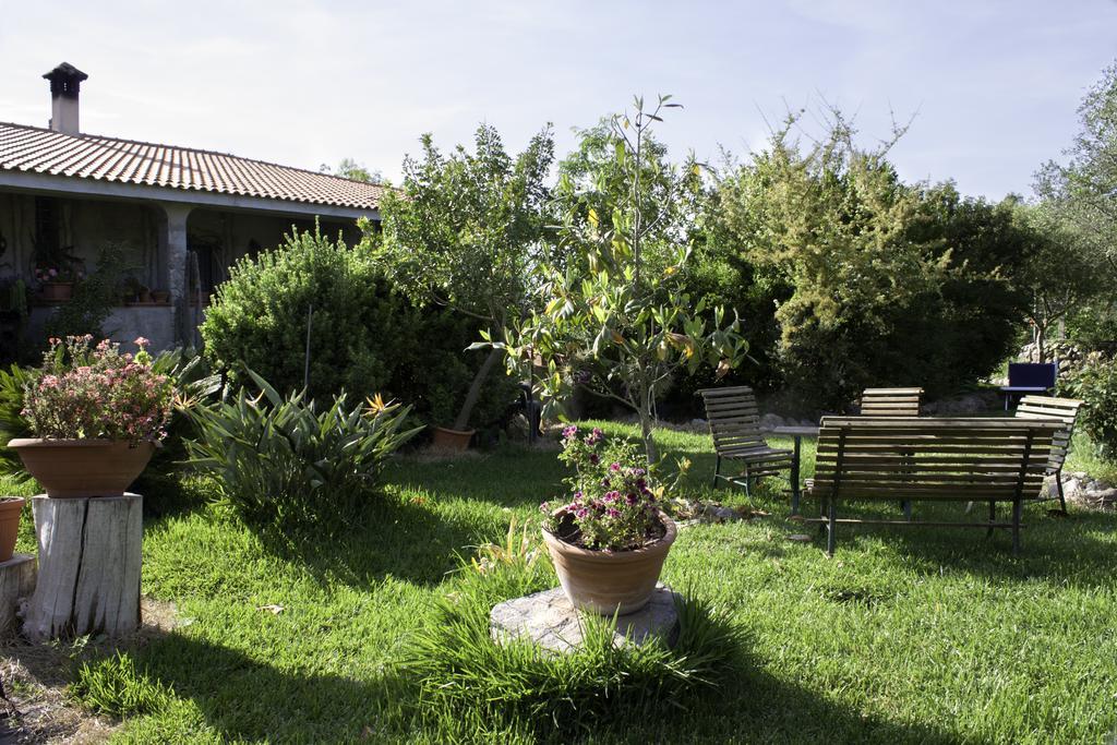 Il Vecchioliveto Di Ornella Bed & Breakfast Marrubiu Ngoại thất bức ảnh
